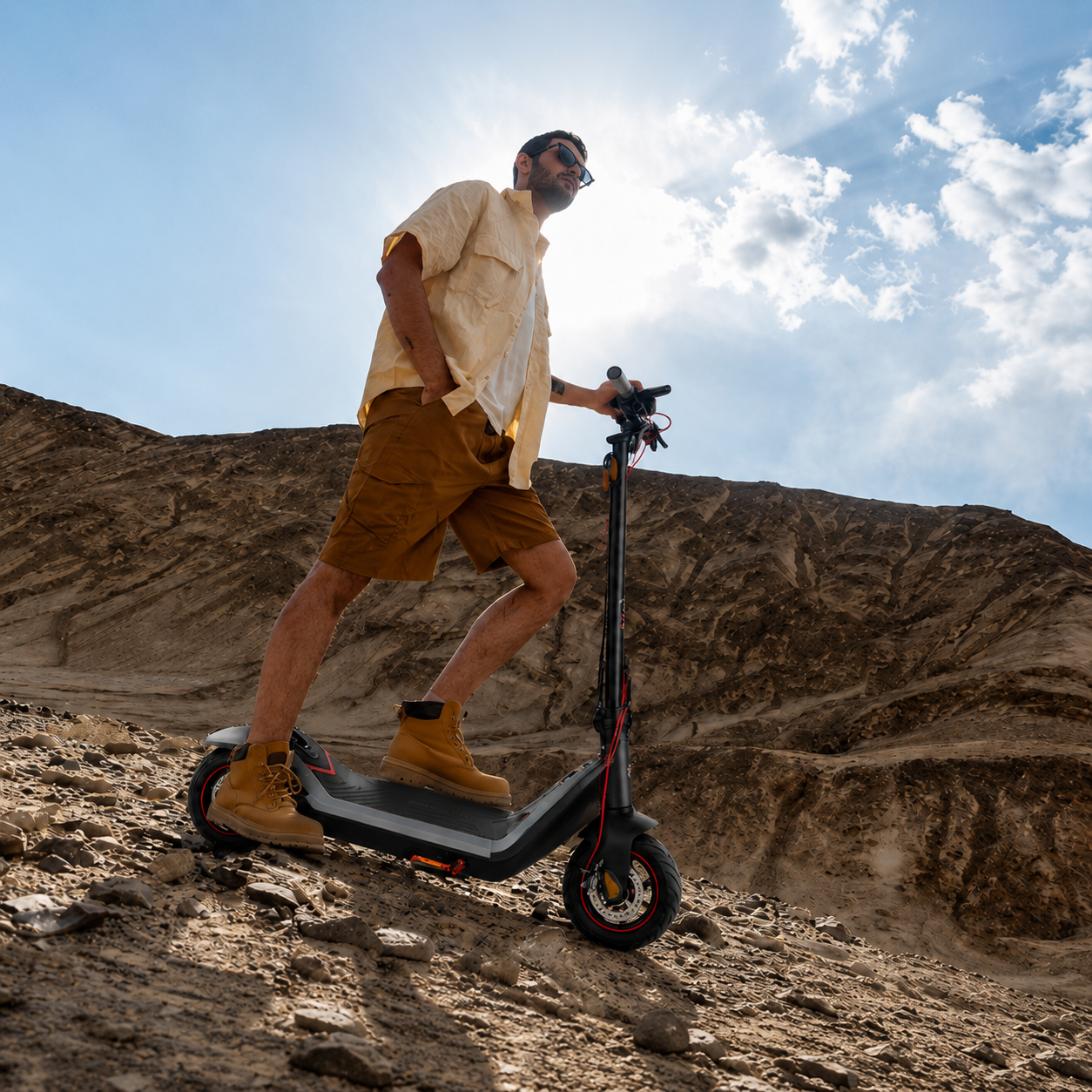 Electric Scooters
